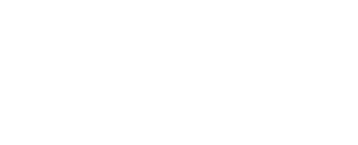 Skyfield Marketing Logo Chinese
